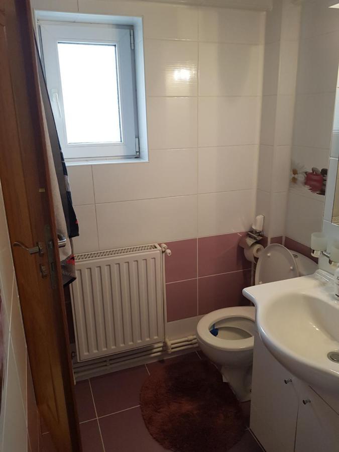 Apartamento Garsoniera Mihaela Petroşani Exterior foto